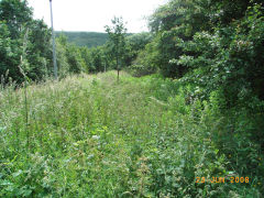 
Abersychan incline looking down from the top, June2008